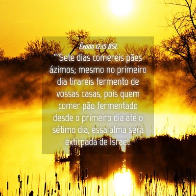 Picture 04 - Êxodo 12:15 BSL - “'Sete dias comereis pães ázimos; mesmo no - Bible Verse Picture
