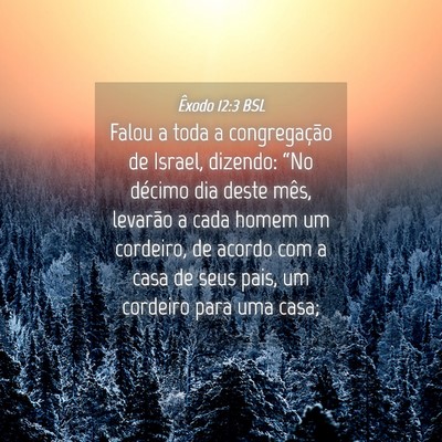 Picture 04 - Êxodo 12:3 BSL - Falou a toda a congregação de Israel, dizendo: - Bible Verse Picture