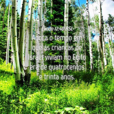 Picture 04 - Êxodo 12:40 BSL - Agora o tempo em que as crianças de Israel - Bible Verse Picture
