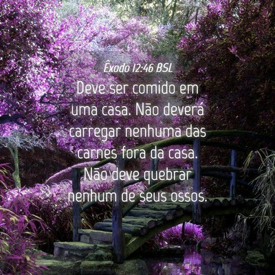 Picture 04 - Êxodo 12:46 BSL - Deve ser comido em uma casa. Não deverá - Bible Verse Picture