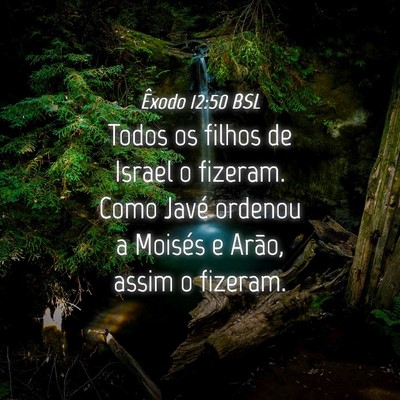 Picture 04 - Êxodo 12:50 BSL - Todos os filhos de Israel o fizeram. Como Javé - Bible Verse Picture