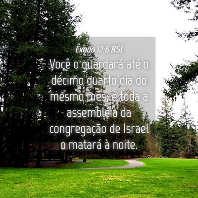 Picture 04 - Êxodo 12:6 BSL - Você o guardará até o décimo quarto dia do - Bible Verse Picture