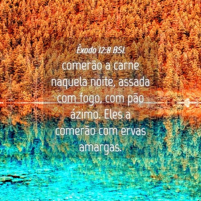 Picture 04 - Êxodo 12:8 BSL - comerão a carne naquela noite, assada com fogo, - Bible Verse Picture