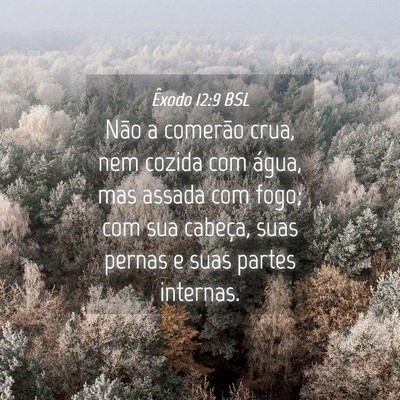 Picture 04 - Êxodo 12:9 BSL - Não a comerão crua, nem cozida com água, mas - Bible Verse Picture