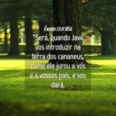 Picture 04 - Êxodo 13:11 BSL - “Será, quando Javé vos introduzir na terra - Bible Verse Picture