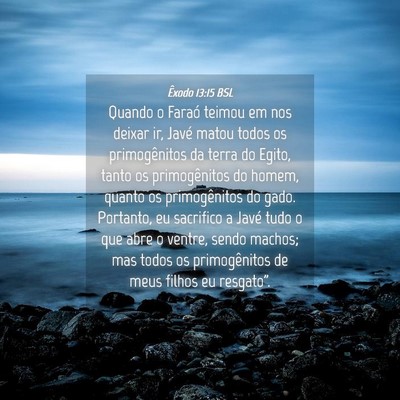 Picture 04 - Êxodo 13:15 BSL - Quando o Faraó teimou em nos deixar ir, Javé - Bible Verse Picture