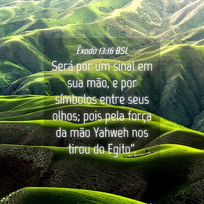 Picture 04 - Êxodo 13:16 BSL - Será por um sinal em sua mão, e por símbolos - Bible Verse Picture