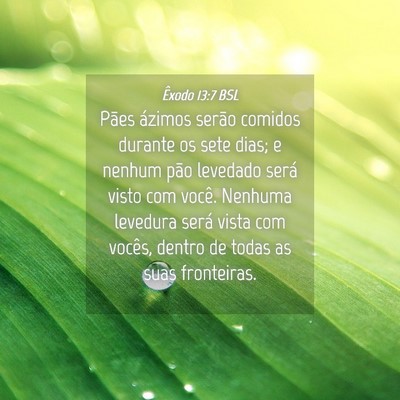 Picture 04 - Êxodo 13:7 BSL - Pães ázimos serão comidos durante os sete - Bible Verse Picture