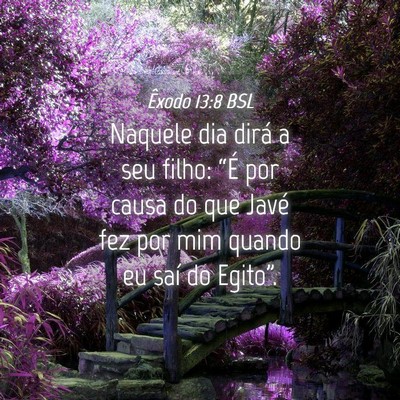 Picture 04 - Êxodo 13:8 BSL - Naquele dia dirá a seu filho: “É por causa do - Bible Verse Picture