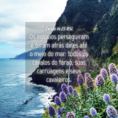 Picture 04 - Êxodo 14:23 BSL - Os egípcios perseguiram e foram atrás deles - Bible Verse Picture