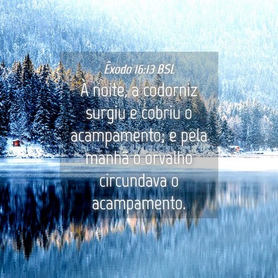 Picture 04 - Êxodo 16:13 BSL - À noite, a codorniz surgiu e cobriu o - Bible Verse Picture
