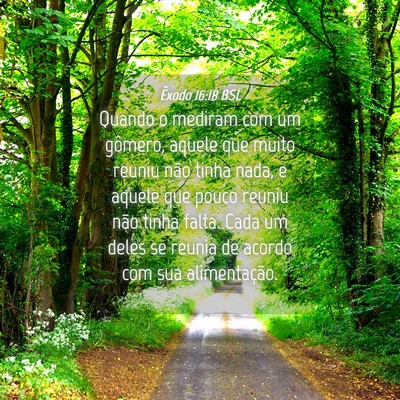 Picture 04 - Êxodo 16:18 BSL - Quando o mediram com um gômero, aquele que muito - Bible Verse Picture