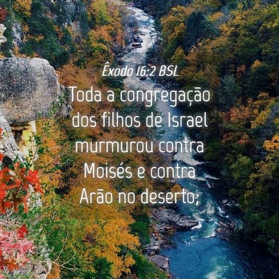 Picture 04 - Êxodo 16:2 BSL - Toda a congregação dos filhos de Israel - Bible Verse Picture