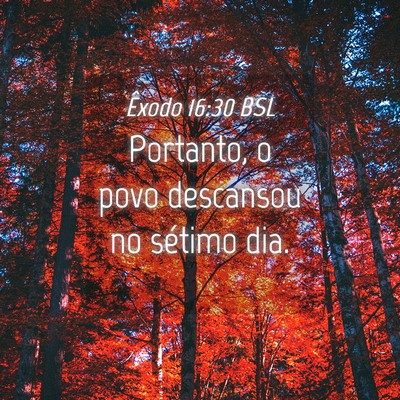 Picture 04 - Êxodo 16:30 BSL - Portanto, o povo descansou no sétimo - Bible Verse Picture