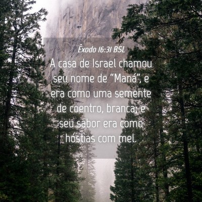 Picture 04 - Êxodo 16:31 BSL - A casa de Israel chamou seu nome de “Maná”, - Bible Verse Picture