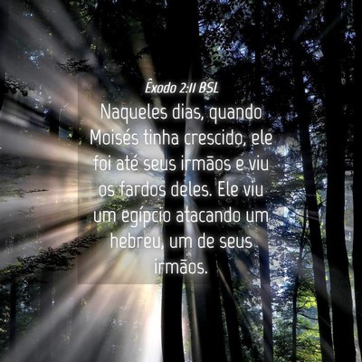 Picture 04 - Êxodo 2:11 BSL - Naqueles dias, quando Moisés tinha crescido, ele - Bible Verse Picture