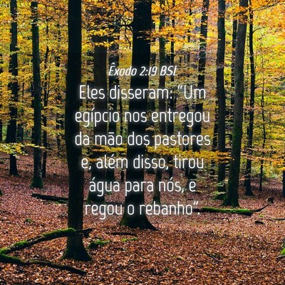 Picture 04 - Êxodo 2:19 BSL - Eles disseram: “Um egípcio nos entregou da - Bible Verse Picture
