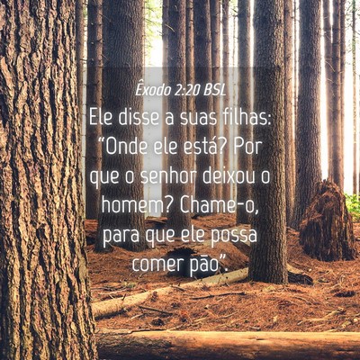 Picture 04 - Êxodo 2:20 BSL - Ele disse a suas filhas: “Onde ele está? Por - Bible Verse Picture