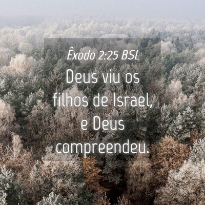 Picture 04 - Êxodo 2:25 BSL - Deus viu os filhos de Israel, e Deus - Bible Verse Picture