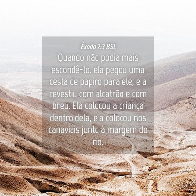 Picture 04 - Êxodo 2:3 BSL - Quando não podia mais escondê-lo, ela pegou uma - Bible Verse Picture