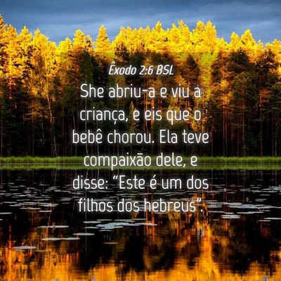 Picture 04 - Êxodo 2:6 BSL - She abriu-a e viu a criança, e eis que o bebê - Bible Verse Picture