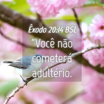Picture 04 - Êxodo 20:14 BSL - “Você não cometerá - Bible Verse Picture