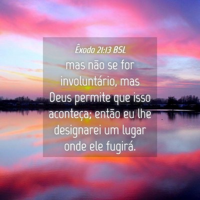Picture 04 - Êxodo 21:13 BSL - mas não se for involuntário, mas Deus permite - Bible Verse Picture