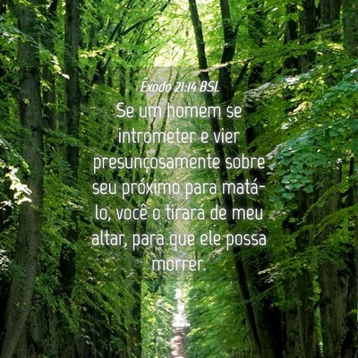 Picture 04 - Êxodo 21:14 BSL - Se um homem se intrometer e vier presunçosamente - Bible Verse Picture