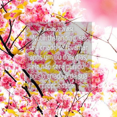 Picture 04 - Êxodo 21:21 BSL - Notwithstanding, se seu criado se levantar após - Bible Verse Picture