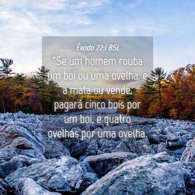 Picture 04 - Êxodo 22:1 BSL - “Se um homem rouba um boi ou uma ovelha, e a - Bible Verse Picture