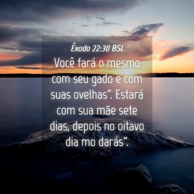 Picture 04 - Êxodo 22:30 BSL - Você fará o mesmo com seu gado e com suas - Bible Verse Picture