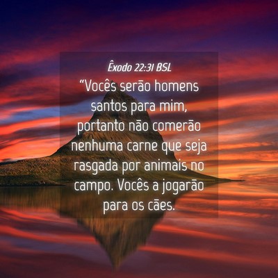 Picture 04 - Êxodo 22:31 BSL - “Vocês serão homens santos para mim, portanto - Bible Verse Picture
