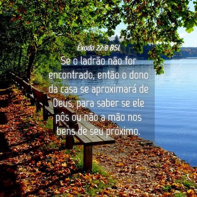 Picture 04 - Êxodo 22:8 BSL - Se o ladrão não for encontrado, então o dono - Bible Verse Picture