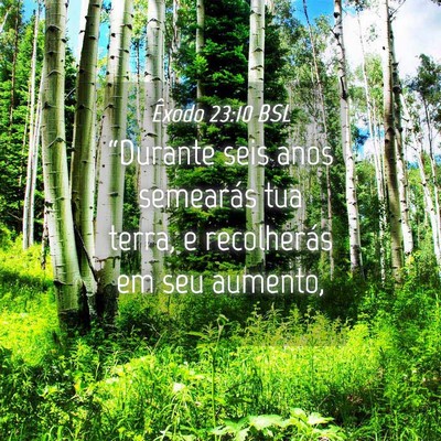 Picture 04 - Êxodo 23:10 BSL - “Durante seis anos semearás tua terra, e - Bible Verse Picture
