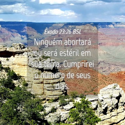 Picture 04 - Êxodo 23:26 BSL - Ninguém abortará ou será estéril em sua - Bible Verse Picture