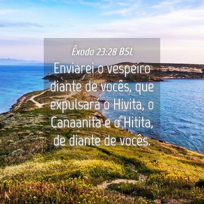 Picture 04 - Êxodo 23:28 BSL - Enviarei o vespeiro diante de vocês, que - Bible Verse Picture