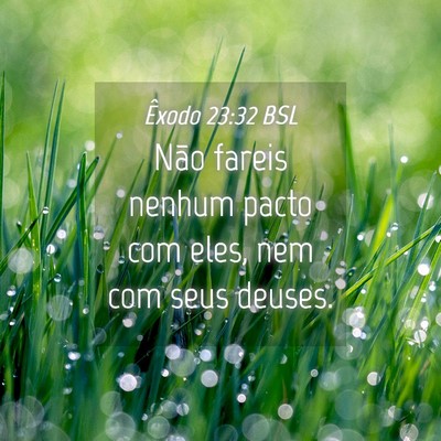 Picture 04 - Êxodo 23:32 BSL - Não fareis nenhum pacto com eles, nem com seus - Bible Verse Picture