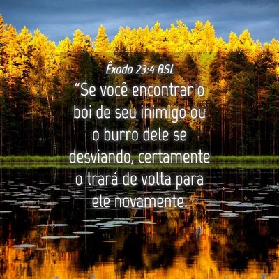 Picture 04 - Êxodo 23:4 BSL - “Se você encontrar o boi de seu inimigo ou o - Bible Verse Picture