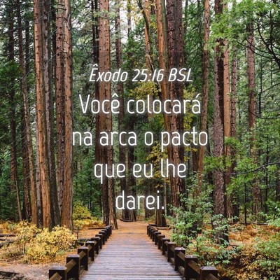 Picture 04 - Êxodo 25:16 BSL - Você colocará na arca o pacto que eu lhe - Bible Verse Picture