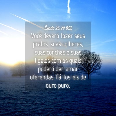 Picture 04 - Êxodo 25:29 BSL - Você deverá fazer seus pratos, suas colheres, - Bible Verse Picture