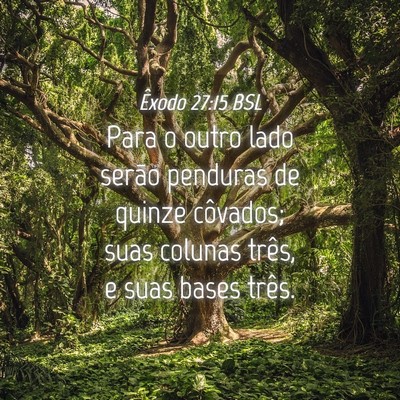Picture 04 - Êxodo 27:15 BSL - Para o outro lado serão penduras de quinze - Bible Verse Picture