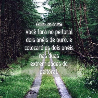 Picture 04 - Êxodo 28:23 BSL - Você fará no peitoral dois anéis de ouro, e - Bible Verse Picture
