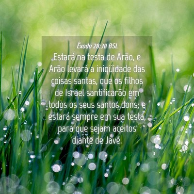 Picture 04 - Êxodo 28:38 BSL - Estará na testa de Arão, e Arão levará a - Bible Verse Picture