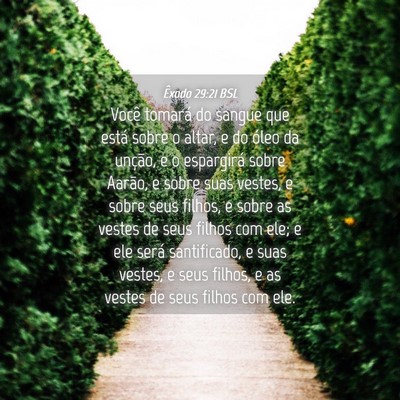 Picture 04 - Êxodo 29:21 BSL - Você tomará do sangue que está sobre o altar, - Bible Verse Picture