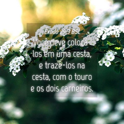 Picture 04 - Êxodo 29:3 BSL - Você deve colocá-los em uma cesta, e trazê-los - Bible Verse Picture