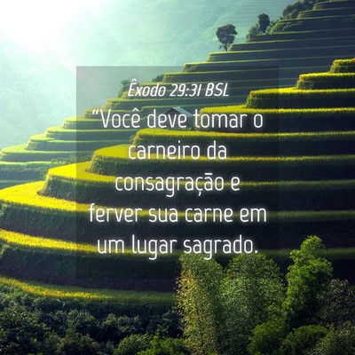 Picture 04 - Êxodo 29:31 BSL - “Você deve tomar o carneiro da consagração e - Bible Verse Picture