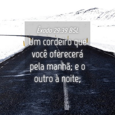 Picture 04 - Êxodo 29:39 BSL - Um cordeiro que você oferecerá pela manhã; e o - Bible Verse Picture