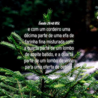 Picture 04 - Êxodo 29:40 BSL - e com um cordeiro uma décima parte de uma efa de - Bible Verse Picture