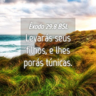 Picture 04 - Êxodo 29:8 BSL - Levarás seus filhos, e lhes porás - Bible Verse Picture
