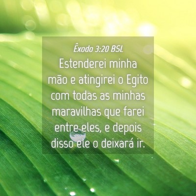 Picture 04 - Êxodo 3:20 BSL - Estenderei minha mão e atingirei o Egito com - Bible Verse Picture